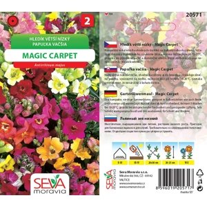 20571 Hledík Magic Carpet 0,2g / 4109