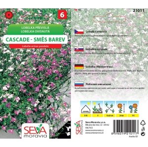 21011 Lobelka převislá Cascade 0,2g / 4209