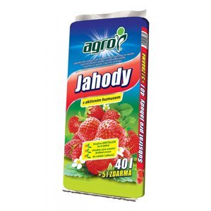 Substrát pro jahody 45l