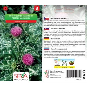 30271 Ostropestřec marianský 4g / 3608