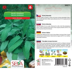 30371 Šalvěj lékařská 0,6g / 3703