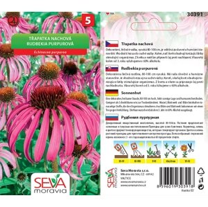 30391 Třapatka nachová 0,5g / 3704