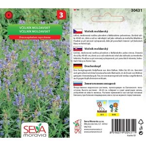 30431 Včelník moldavský 0,7g / 3707