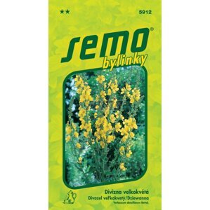 459122 Divizna velkokvětá Zlata 0,1g / 3506