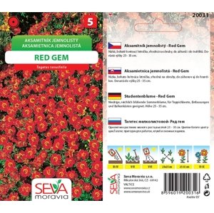 20031 Aksamitník Red Gem 0,2g / 3810