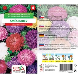 20211 Astra Chrysant. nízké 0,5g / 3909