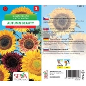 21321 Slunečnice Autumn Beauty 0,8g / 4304