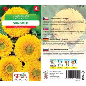 21351 Slunečnice Sungold 1g / 4305