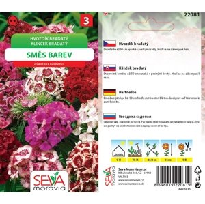 22081 Hvozdík bradatý Směs 0,5g / 4403