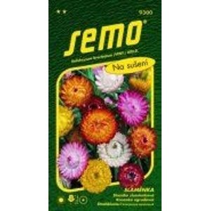 493002 Slaměnka Směs barev 0,4g / 4308