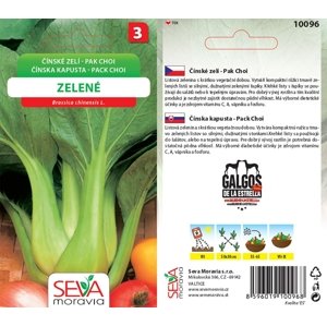 10096 Čínské zelí Pack Choi zelené 0,4g / 2310
