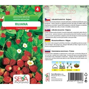 10215 Jahodník Rujana 0,2g / 1205