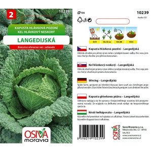 10239 Kapusta poz. Langedijská 0,8g / 1210