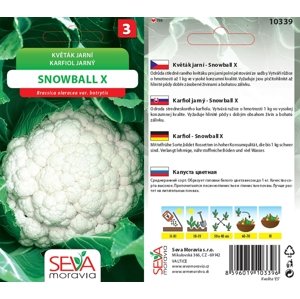 10339 Květák Snowball 0,4g / 1408