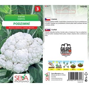 10345 Květák podzimní 0,4g / 1409