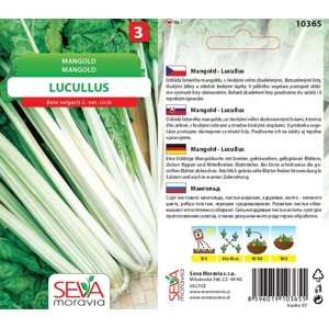 10365 Mangold Lucullus 4g / 1503