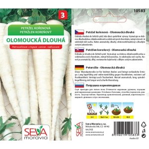 10583 Petržel koř. Olomoucká Dlouhá 3g / 2403
