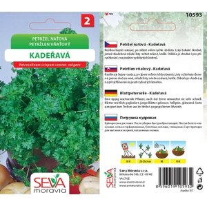 10593 Petržel naťová Kadeřavá 2g / 2411