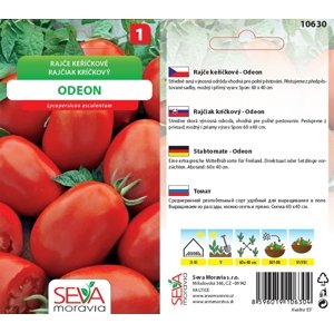 10630 Rajče keříčkové Odeon 0,2g / 2507