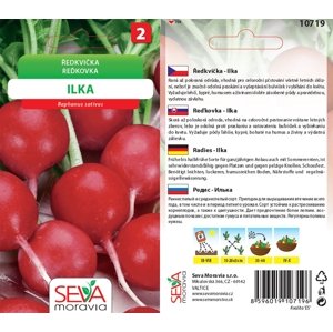 10719 Ředkvička Ilka 5g / 2801