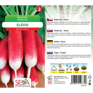 10735 Ředkvička Slávia 5g / 2803
