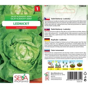 10804 Salát Lednický 0,5g / 3102
