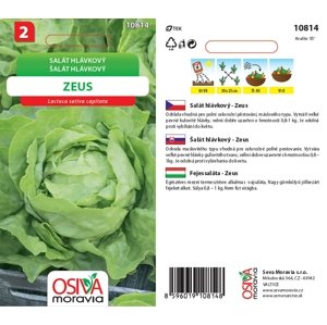 10814 Salát hlávkový letní Zeus 0,3g / 3106