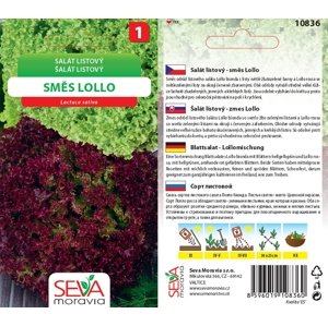 10836 Salát Lollo směs 0,5g / 3201