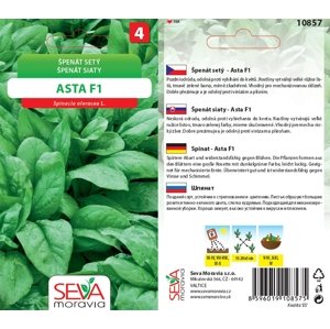 10857 Špenát setý Asta F1 5g /D