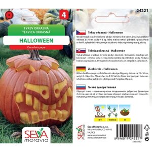 24221 okrasná tykvička Halloween 10s /D50
