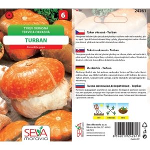 24261 Okrasné tykvičky Turban 10s / 3801