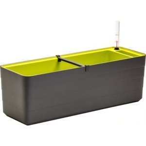 Truhlík Berberis 80 cm Antracit + Zelená