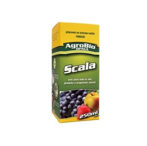 Scala 250ml
