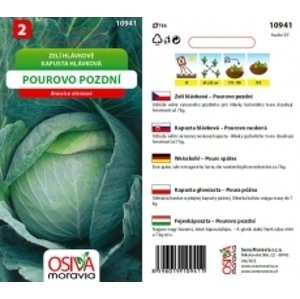 10941 Zelí Pourovo Pozdní 0,8g / 3406