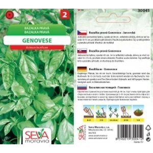 30041 Bazalka pravá Genovese 0,3g / 3501