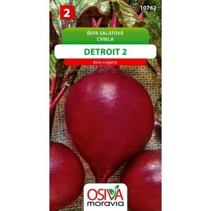 10762 Řepa salátová Detroit 2 4g/ 2909