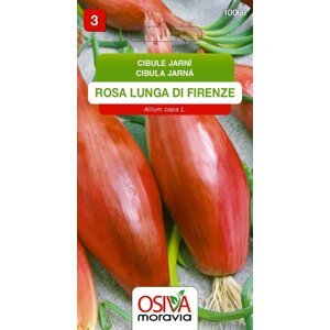 10060 Cibule Rosa di Firenze 1,5g / 1203