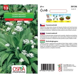 30136 Česnek medvědí 0,5g / 3505