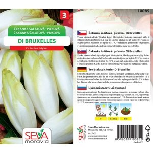10085 Čekanka salátová Di Bruxelles 0,7g /D100