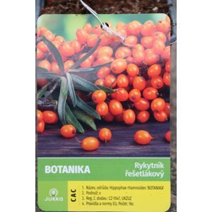Rakytník řešetlákový 'Botanica' 51-80 cm H9