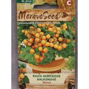 Rajče keříčkové balkonové oranžové VENUS