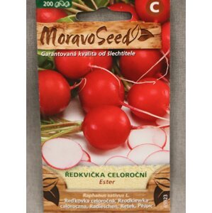 Ředkvička červená kulatá celoroční ESTER