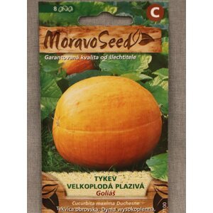 Tykev velkoplodá plazivá GOLIÁŠ