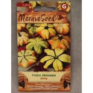 Tykev okrasná DAISY