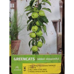 Jabloň 'Greencats' - sloupovitá, kontej.