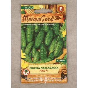 Okurka nakládačka hruboostná Altaj F1
