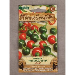 Paprika třešňová ostrá Korál