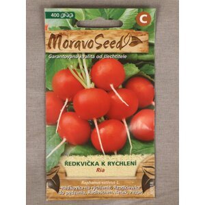 Ředkvička červená  k rychlení Ria