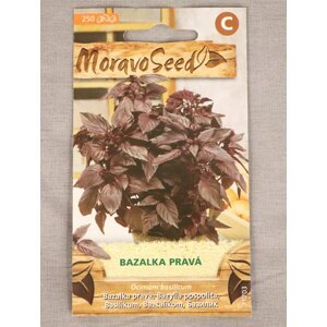 Bazalka pravá červená