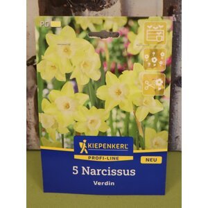 Narcis Jonquilla 'Verdin'